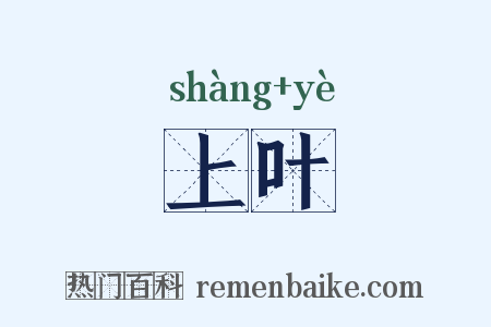 上叶是什么意思的图片